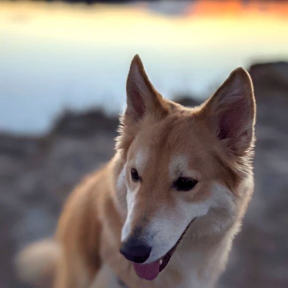 Meet your Posher, Carly - Picture 1 of 1